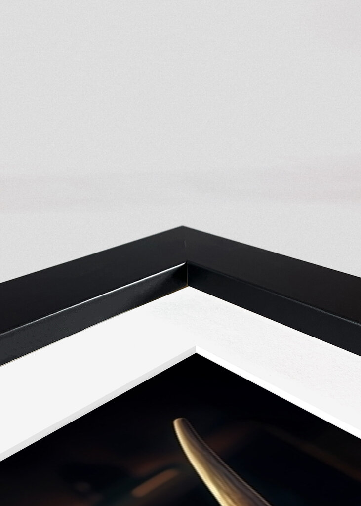 Highland Cow in the Pub