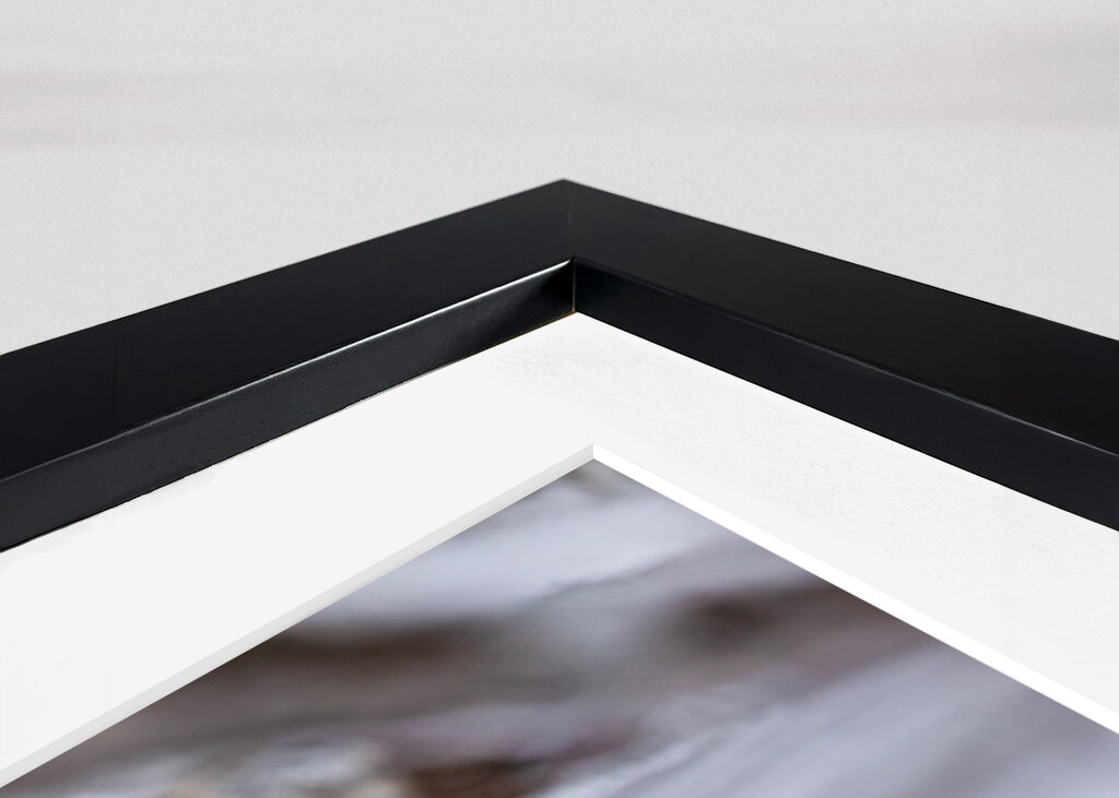 Lynx in Sneaking in the Snow