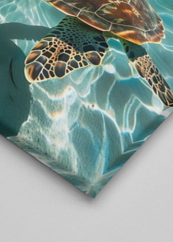 Magical Ocean Turtle