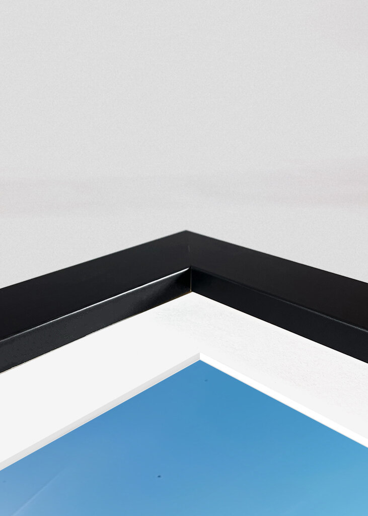 Magical Ocean Turtle