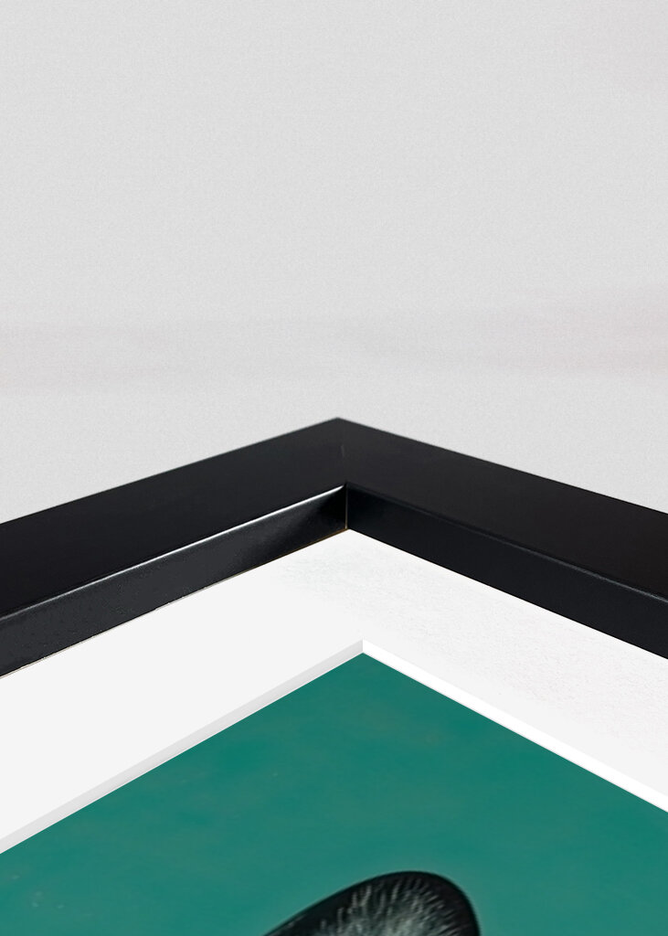 Chihuahua chic en flores