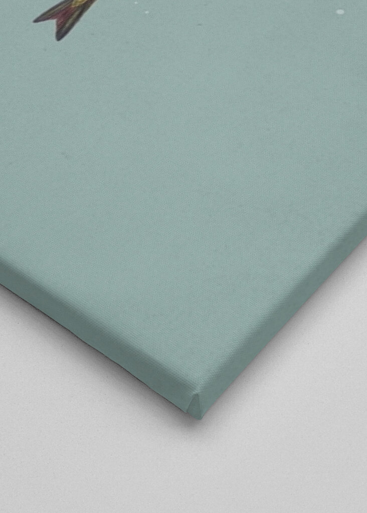 Vær alltid en drømmer