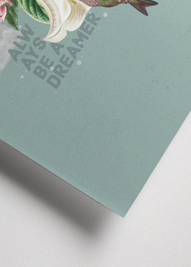 Vær alltid en drømmer