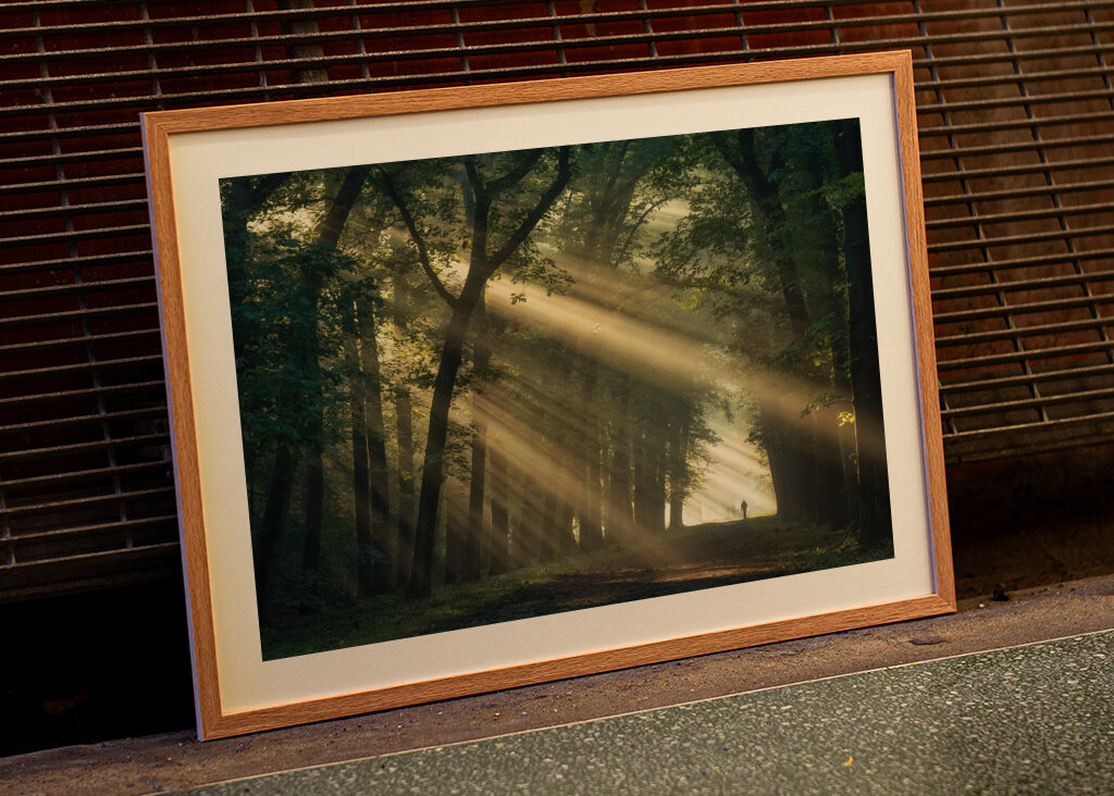 Walking in a magical forest