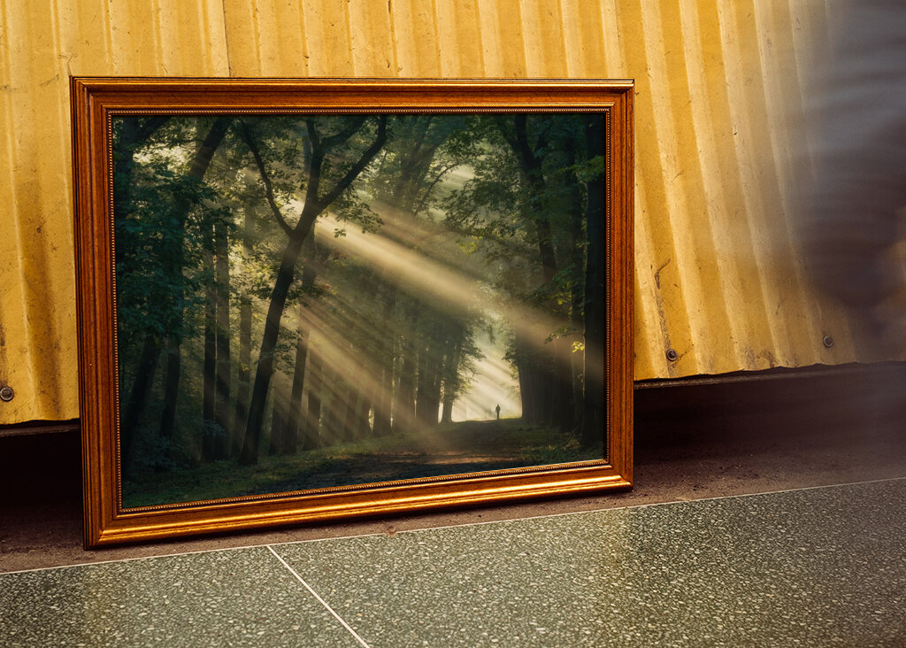 Walking in a magical forest