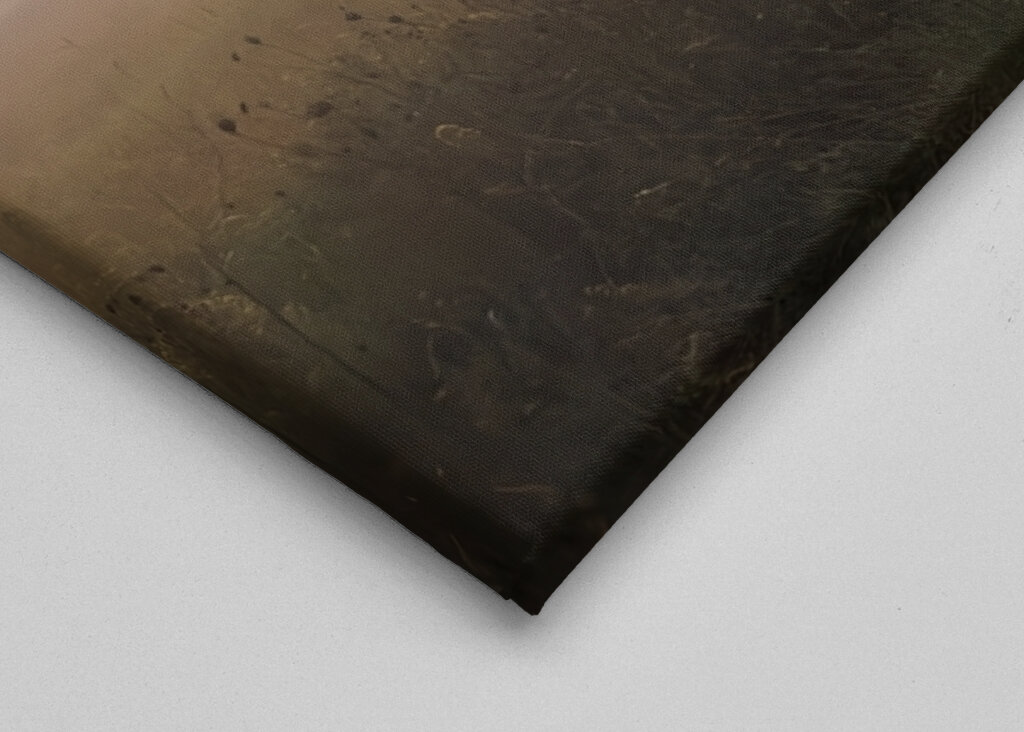 Paysage dans le brouillard