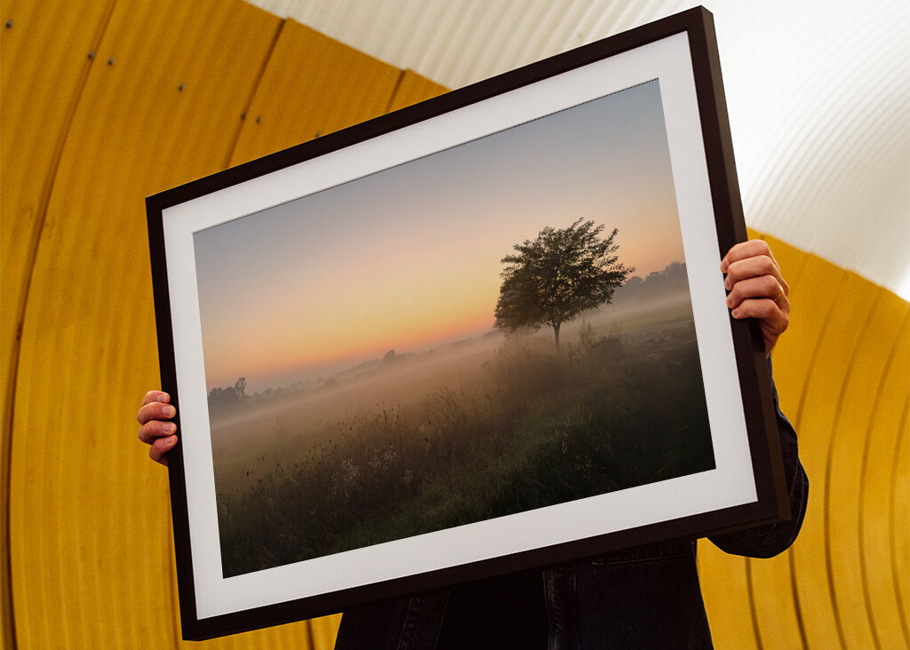 Paysage dans le brouillard