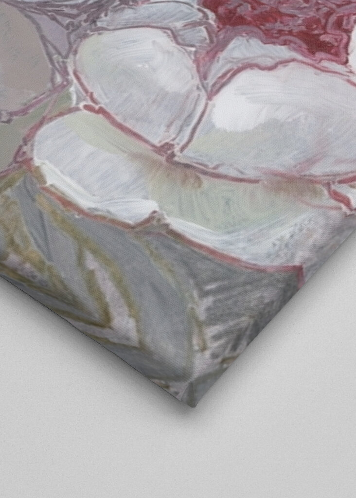 Fioriture di peonia rosa