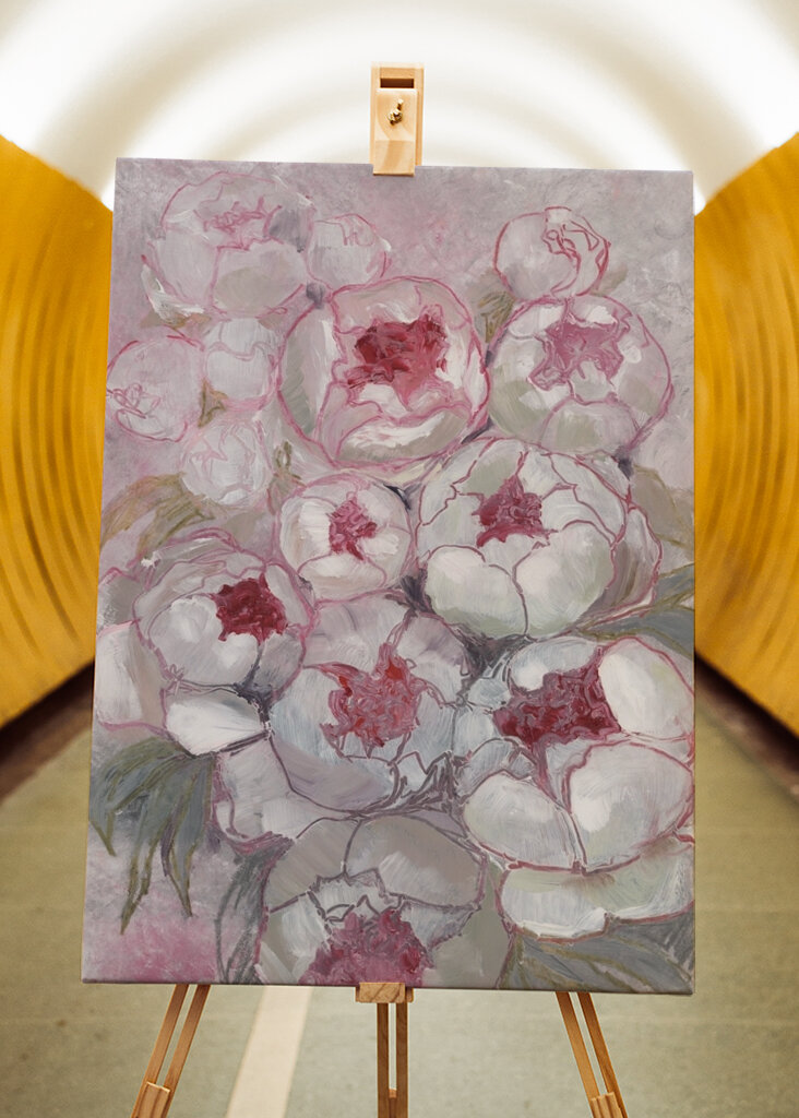 Fioriture di peonia rosa