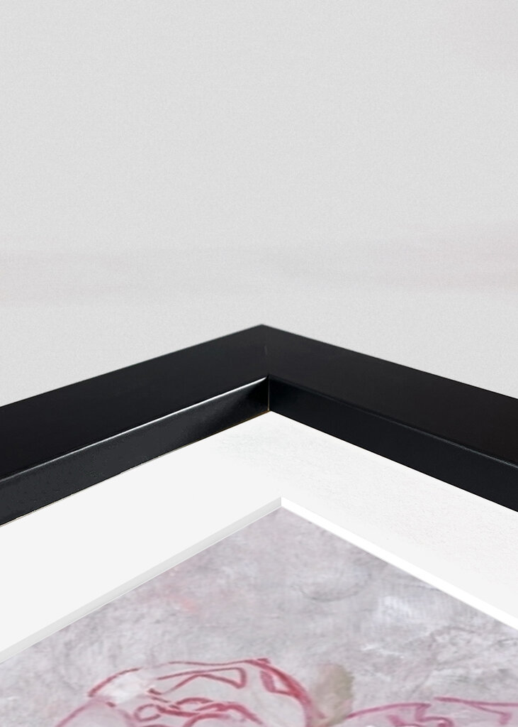 Fioriture di peonia rosa