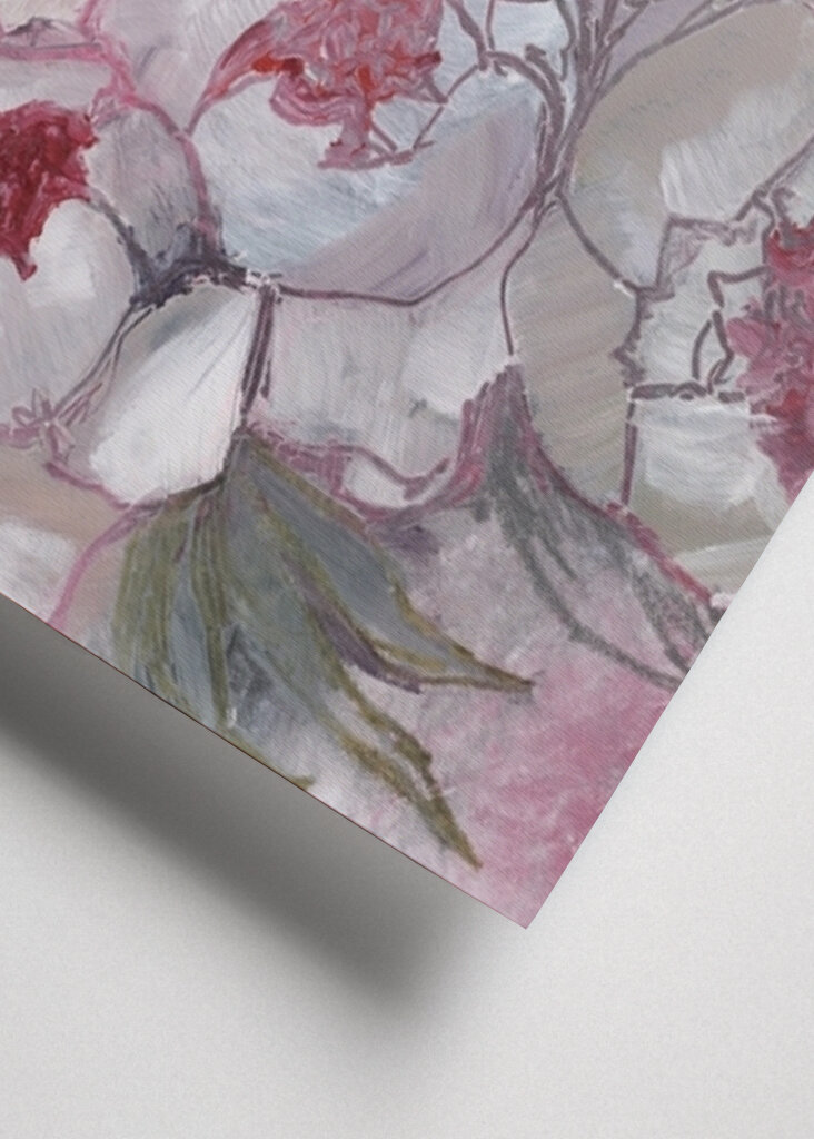 Fioriture di peonia rosa