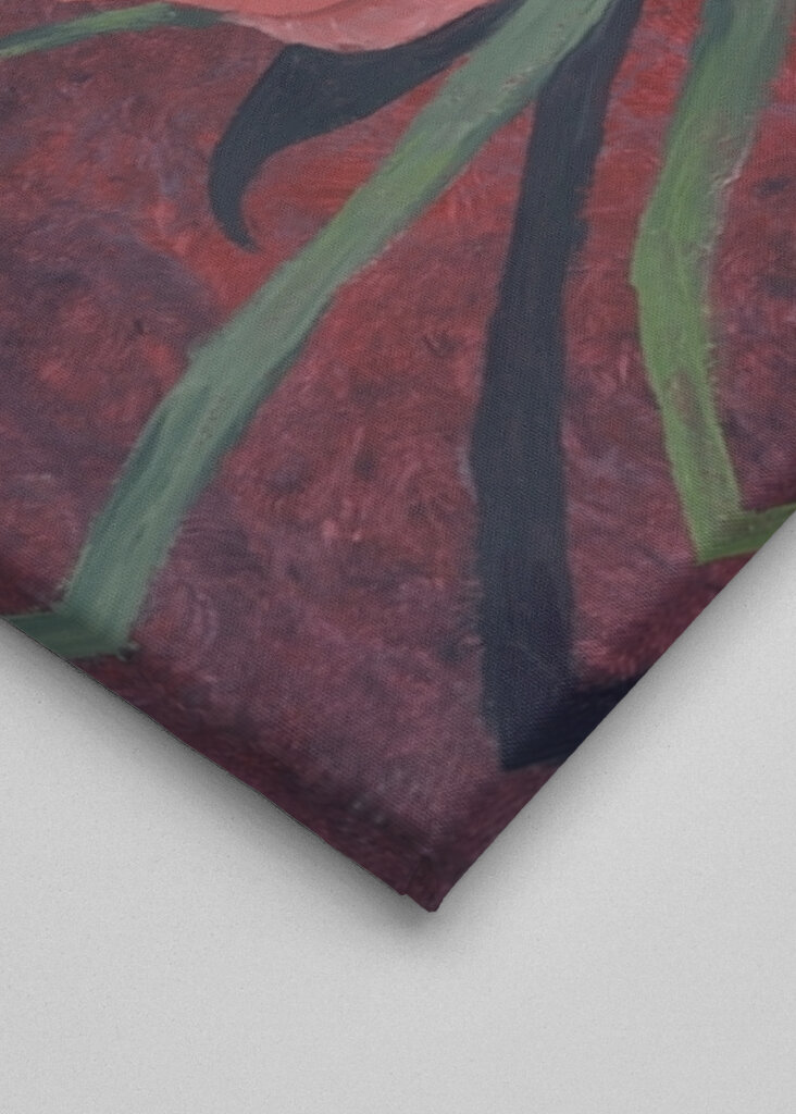 Pivoňka kvete Artistry