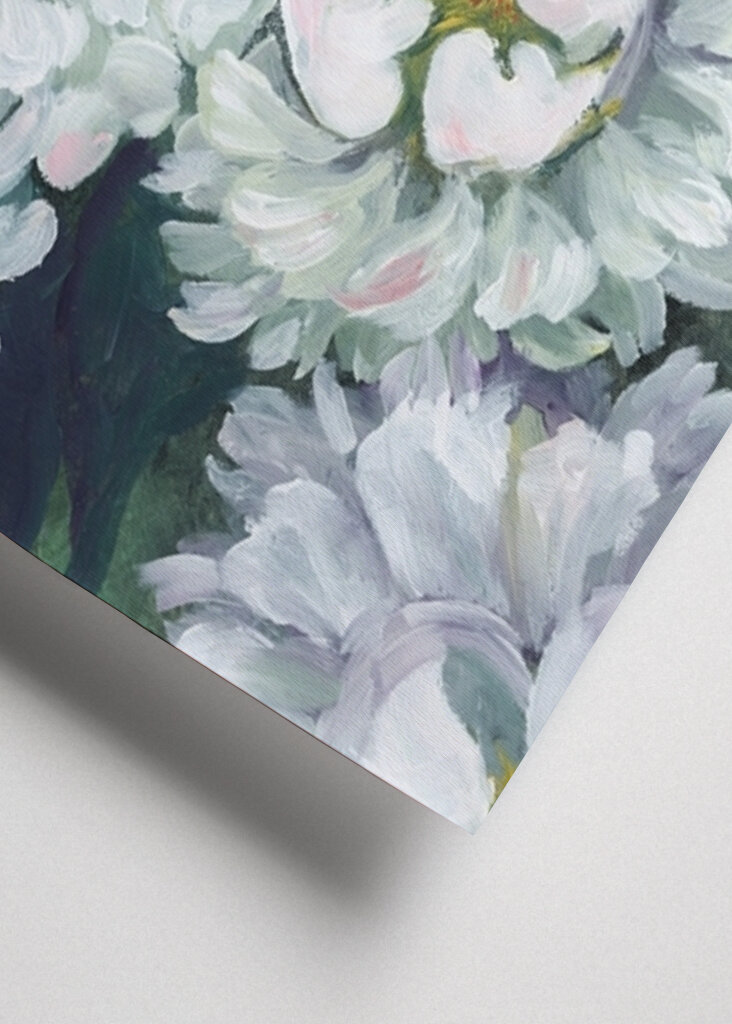 Sogno di petali di peonia