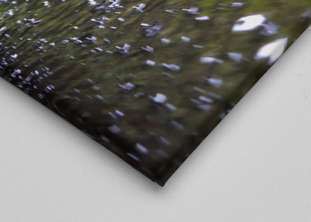 GLEITEN DURCH DEN AMAZONAS