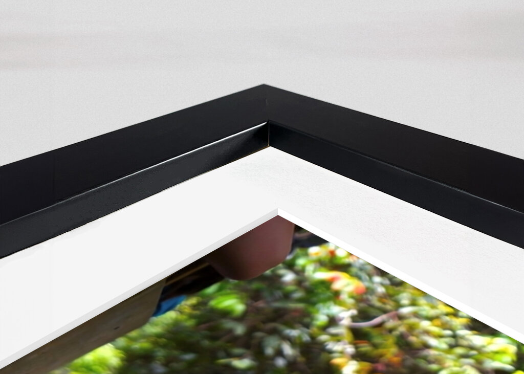 GLEITEN DURCH DEN AMAZONAS