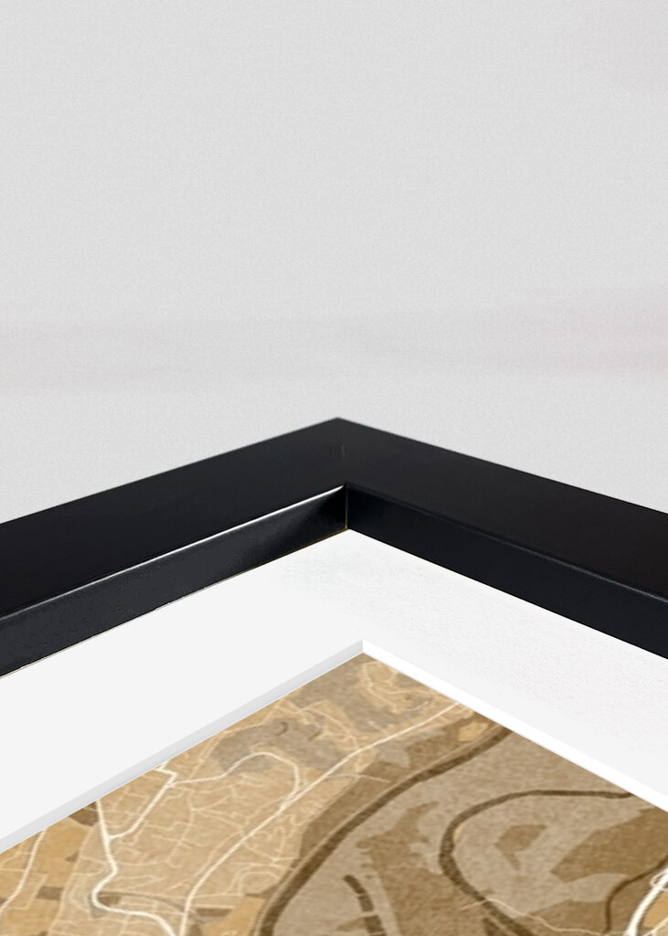 Mappa di Lione Opera d'arte