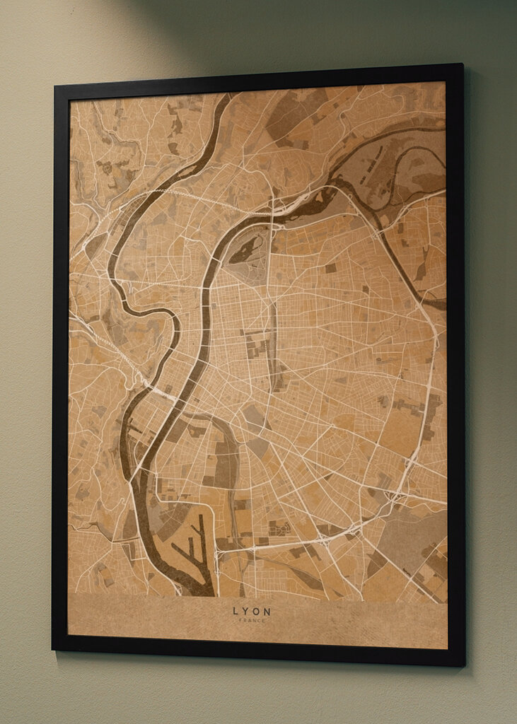 Mappa di Lione Opera d'arte