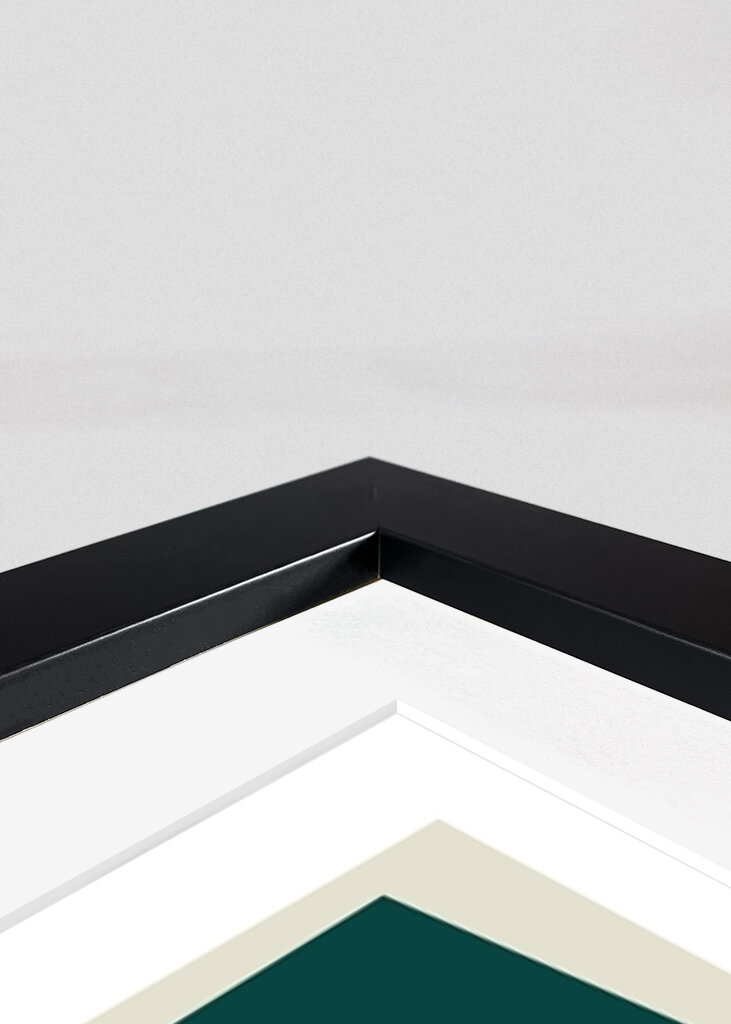 Geometrisk livlighed