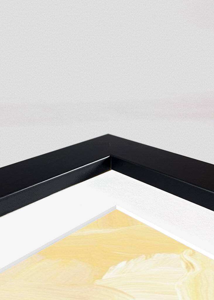 Sunlit Serenity Canvas