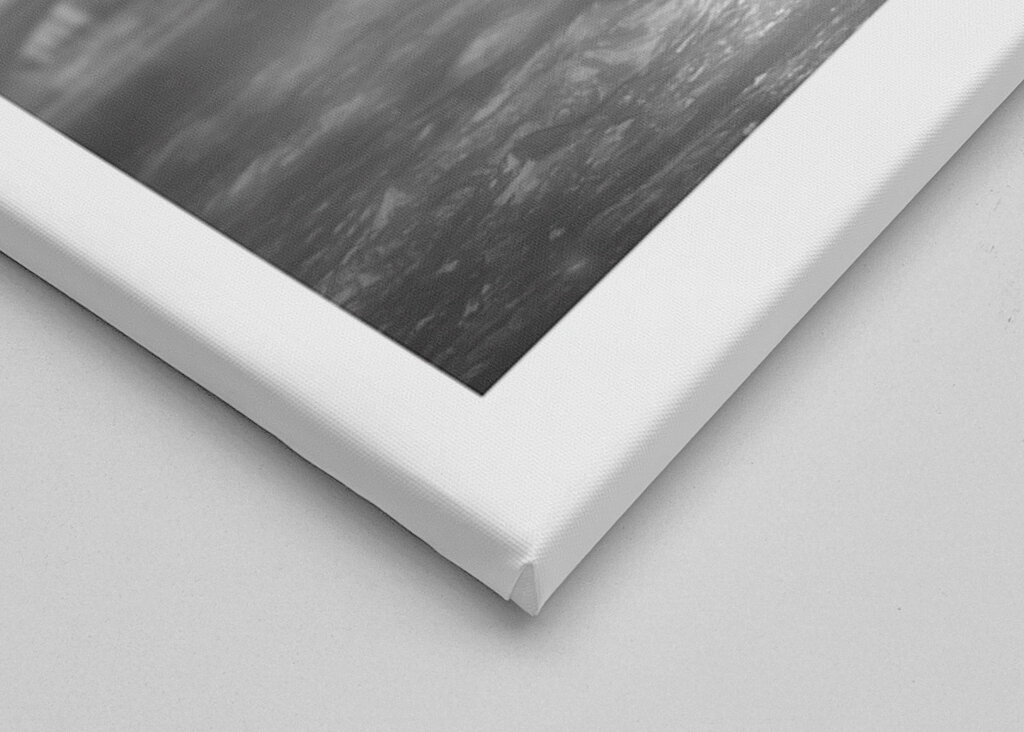 Sloní procházka po vodě