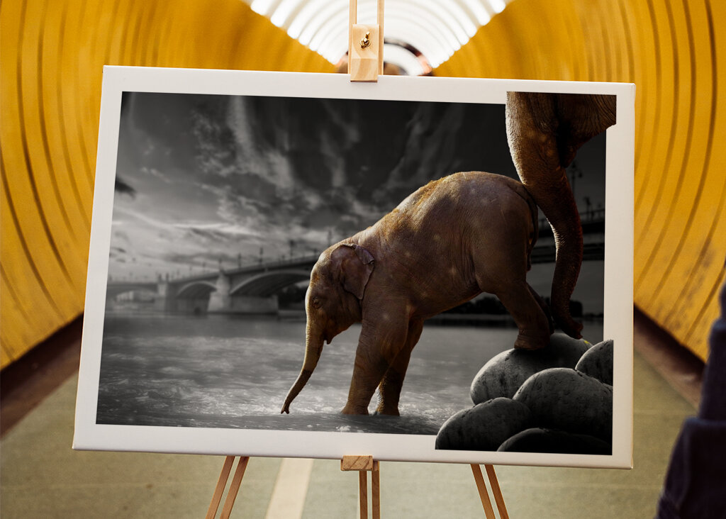 Sloní procházka po vodě