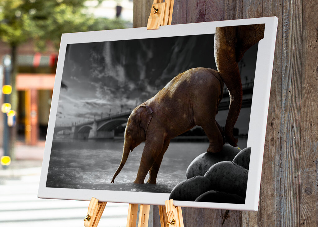 Sloní procházka po vodě