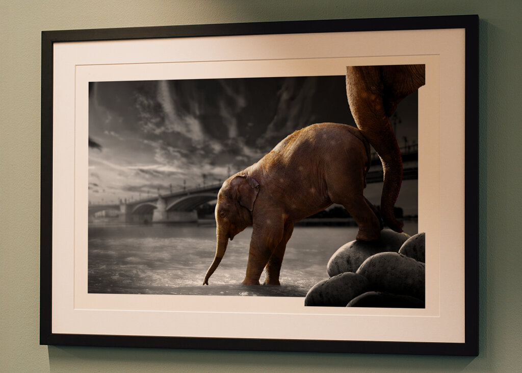 Sloní procházka po vodě