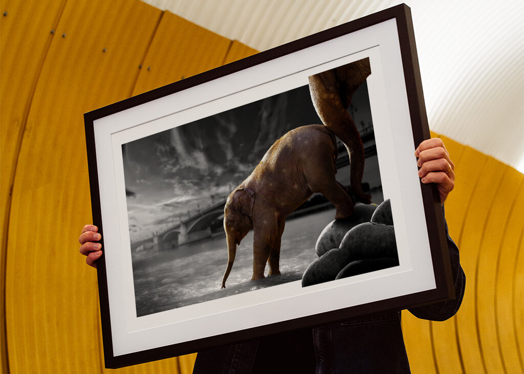 Sloní procházka po vodě