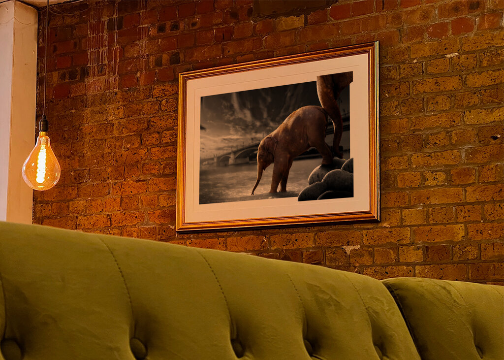 Sloní procházka po vodě