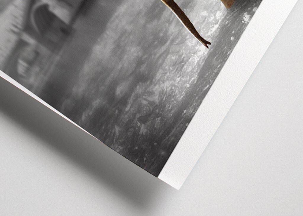 Sloní procházka po vodě