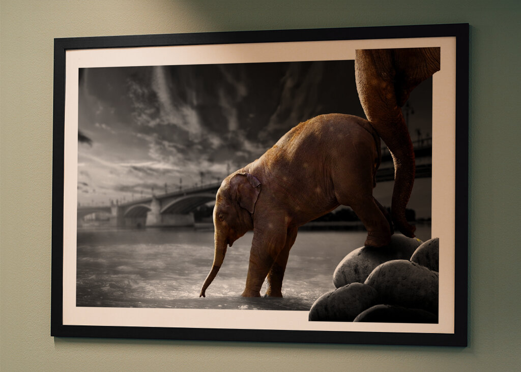 Sloní procházka po vodě