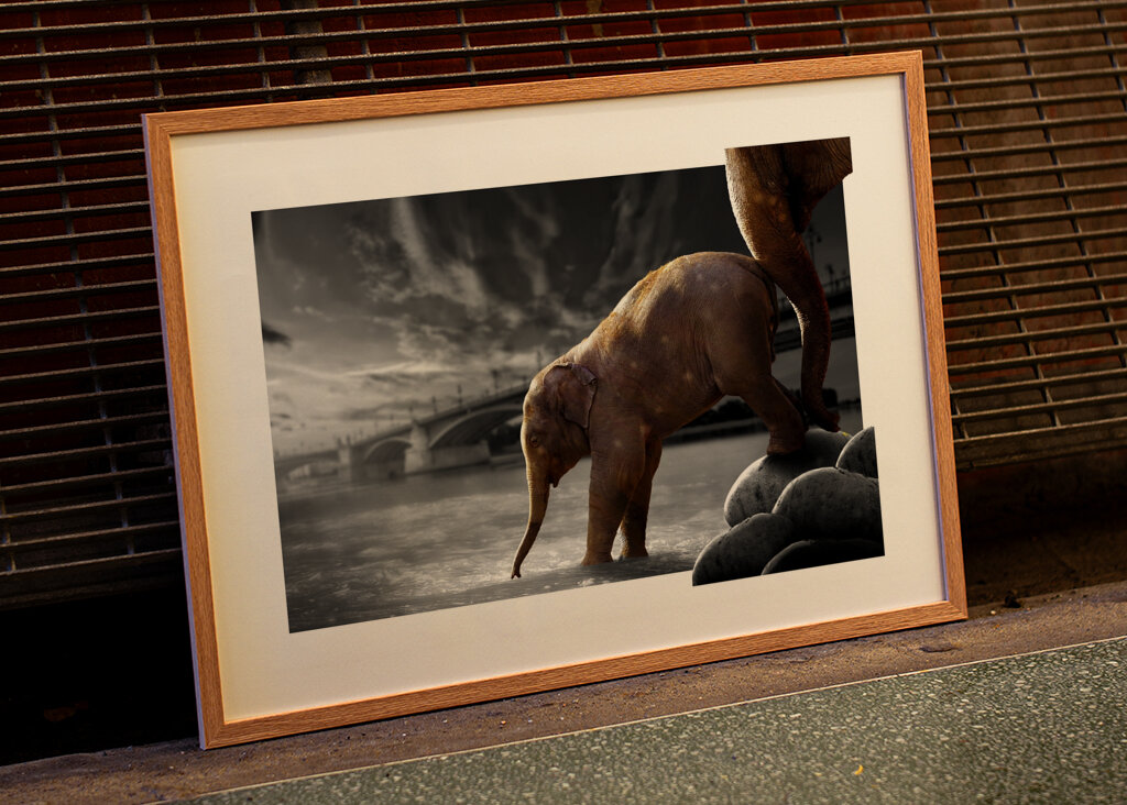 Sloní procházka po vodě