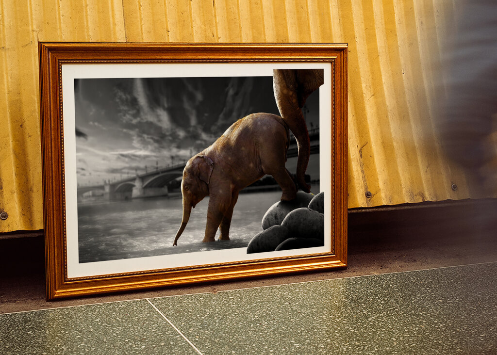 Sloní procházka po vodě