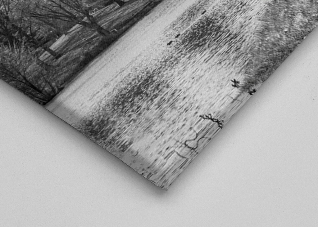 Lejonet ryter i staden