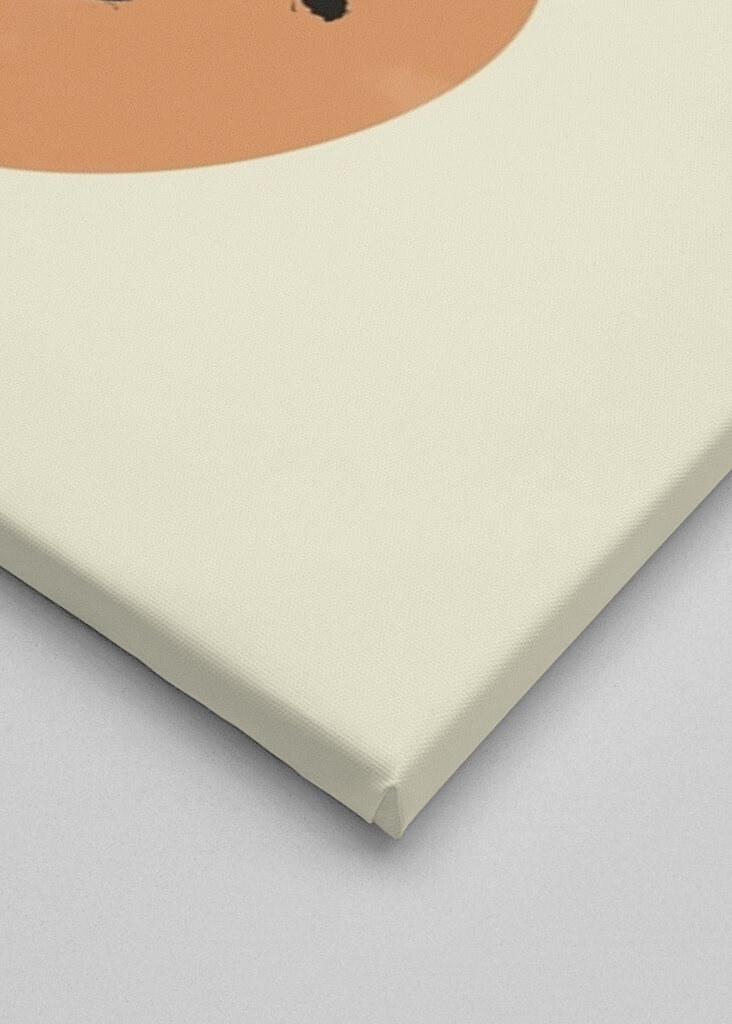 Minimální kresba obličeje