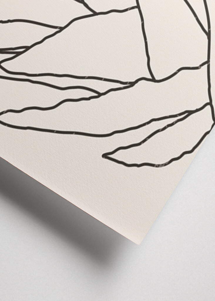 Aloe & Sonne Harmonie