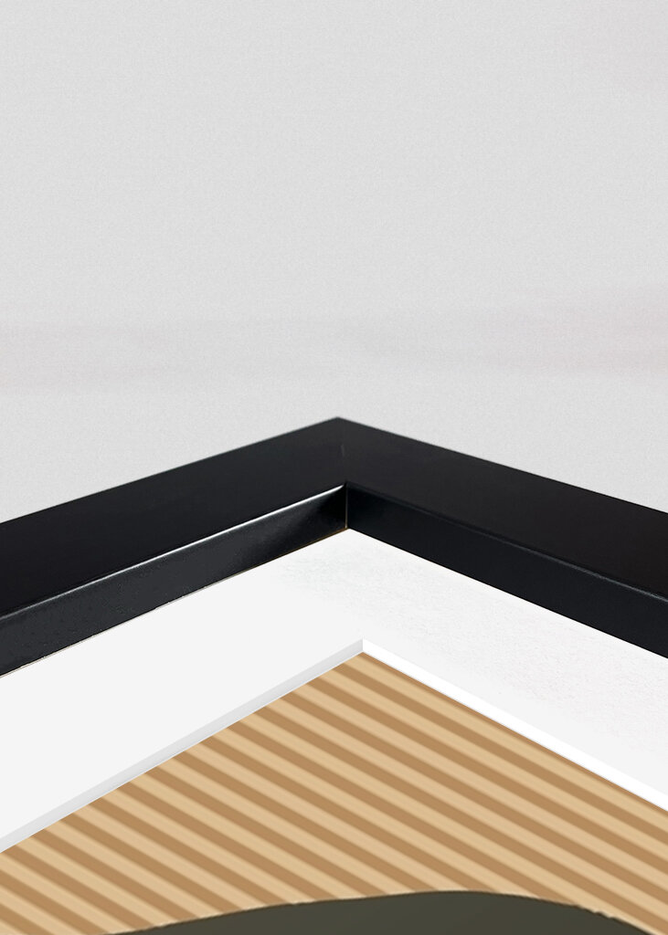 Geometrická harmonie