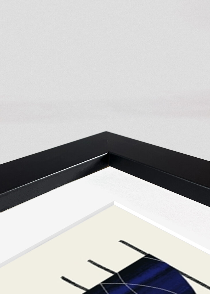 Geometrická harmonie