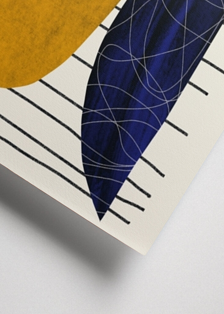 Geometrická harmonie