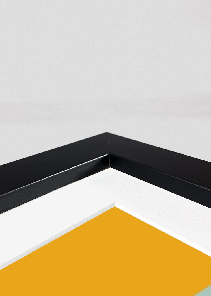 Geometrická harmonie