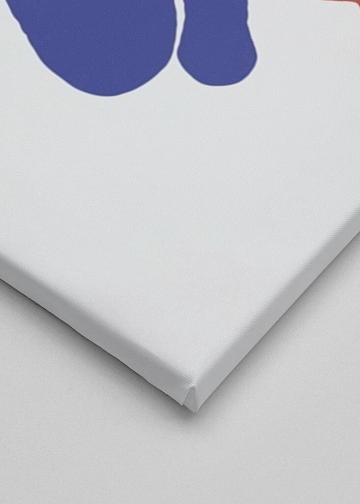 Silhueta ousada da natureza