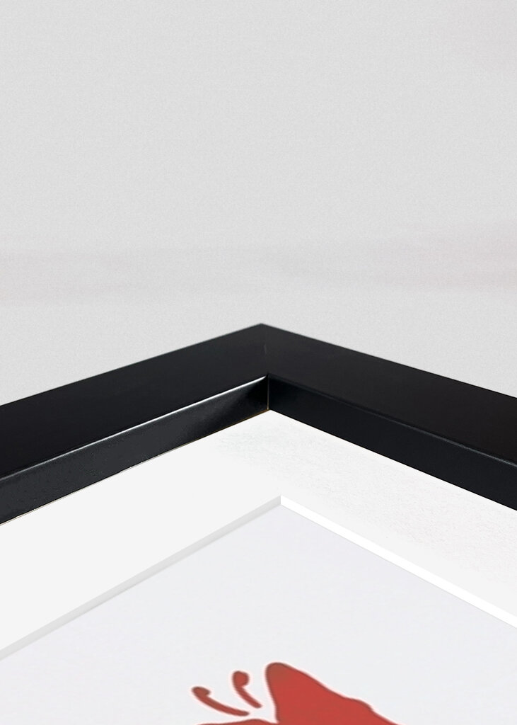 Silhueta ousada da natureza