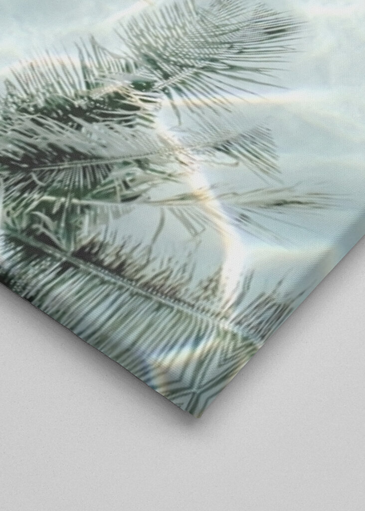 Sunny Palm Reflections