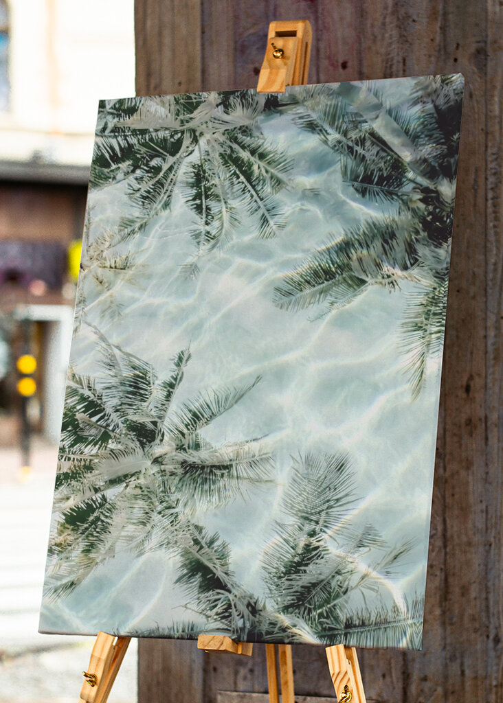 Sunny Palm Reflections