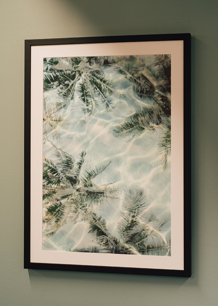 Sunny Palm Reflections