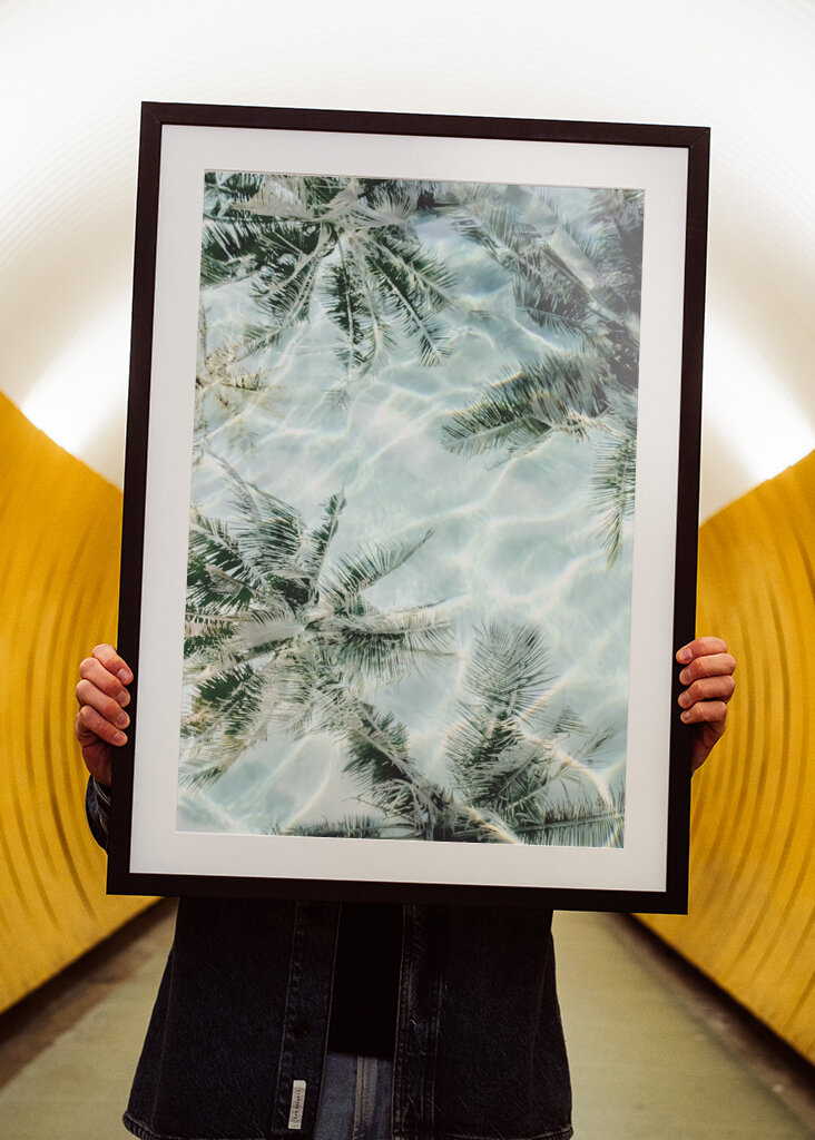 Sunny Palm Reflections