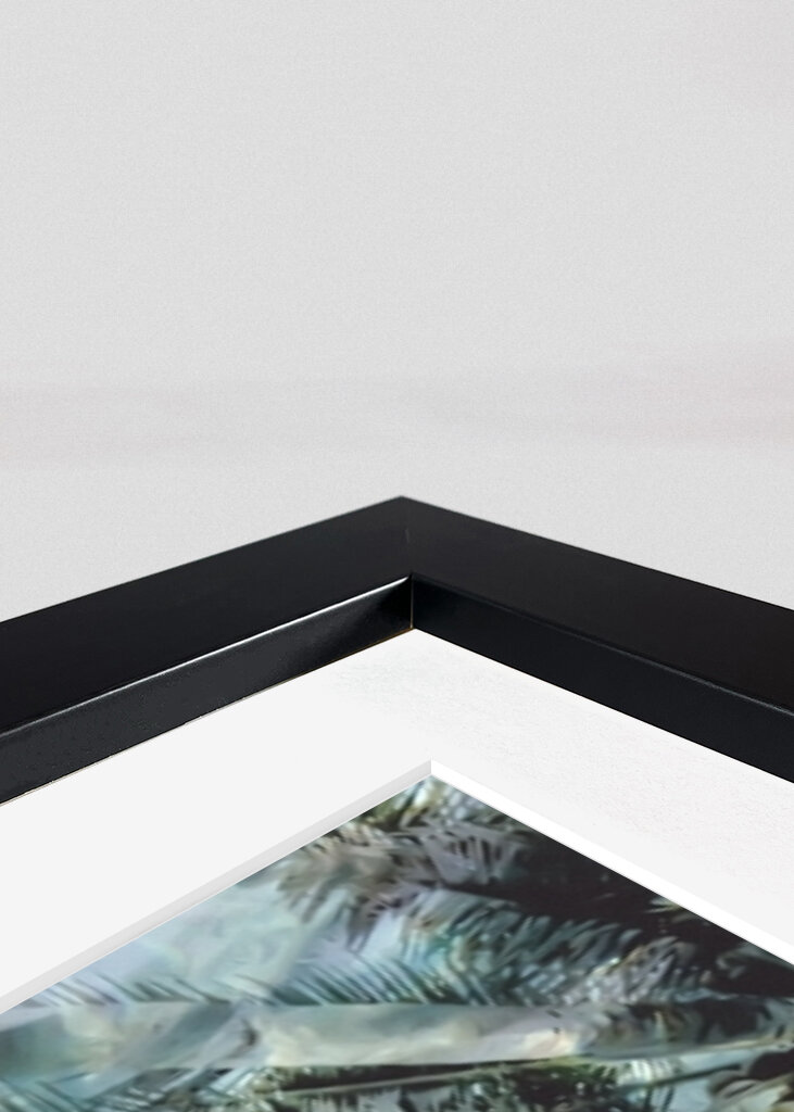 Sunny Palm Reflections