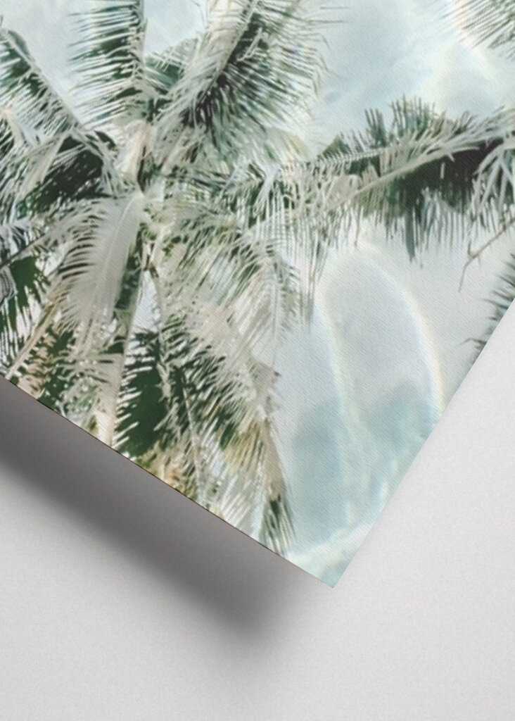 Sunny Palm Reflections