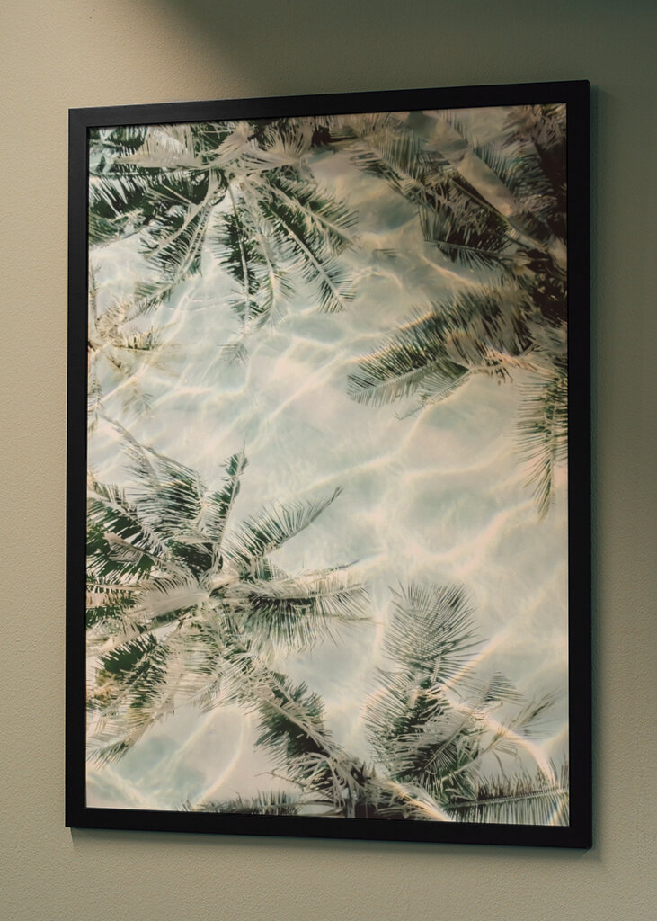 Sunny Palm Reflections