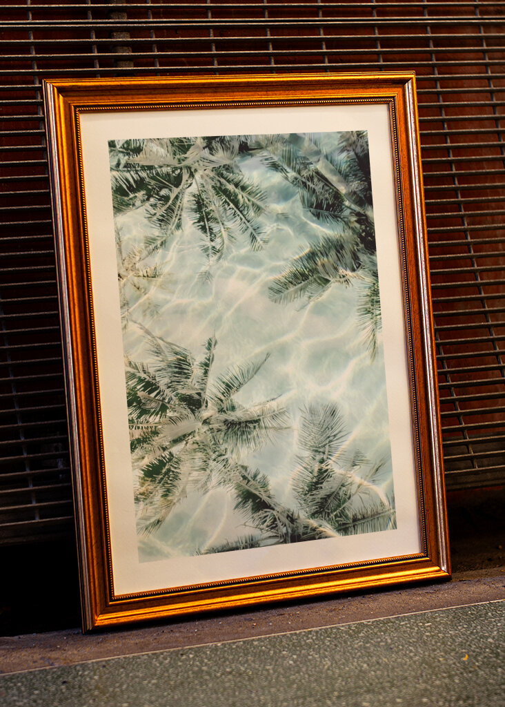 Sunny Palm Reflections